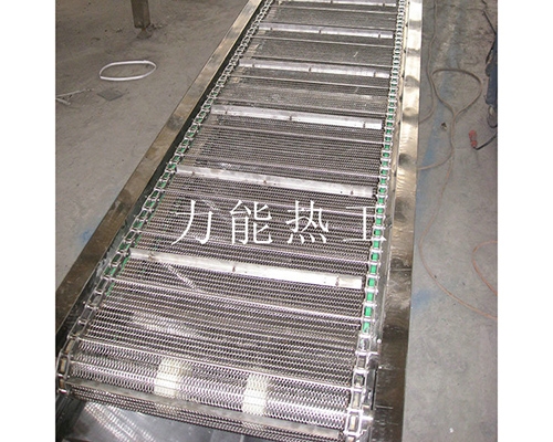 天津链网输送机