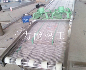 天津乙字网输送机