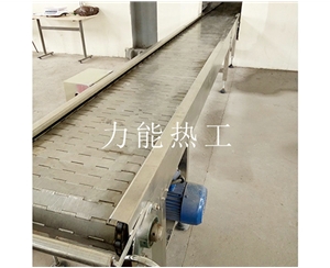 天津链板输送机
